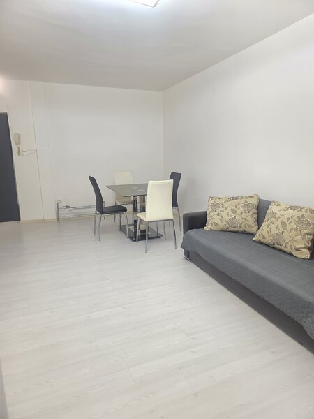 Universitate, Sala Palatului, Ion Campineanu