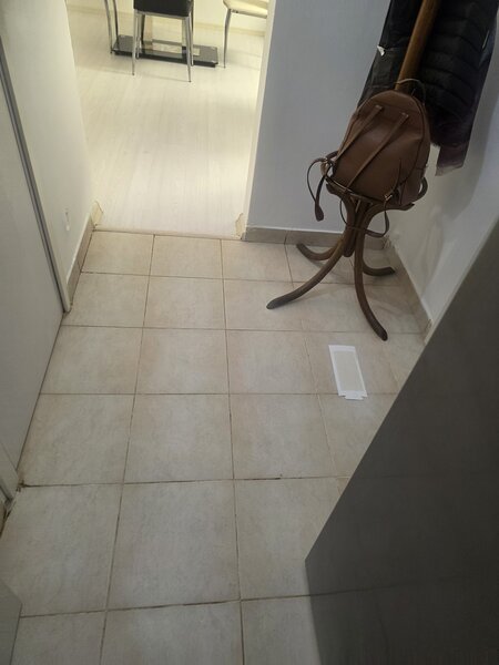 Universitate, Sala Palatului, Ion Campineanu