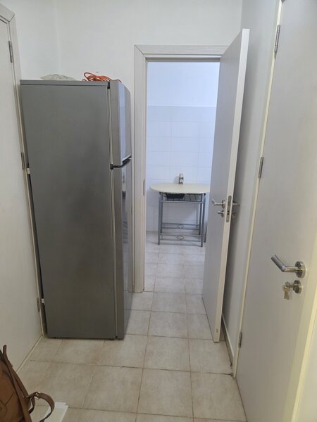 Universitate, Sala Palatului, Ion Campineanu